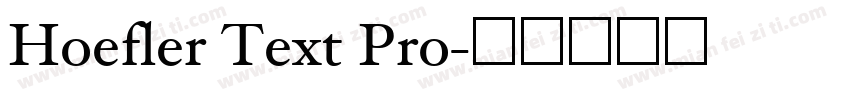 Hoefler Text Pro字体转换